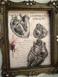 Cadre Gothique - Anatomia do Coração PL010