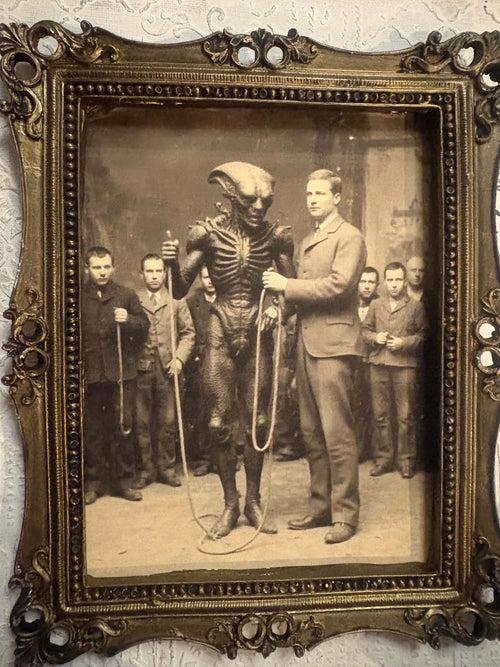 Cadre Gothique - L'Alien Capturé PL012