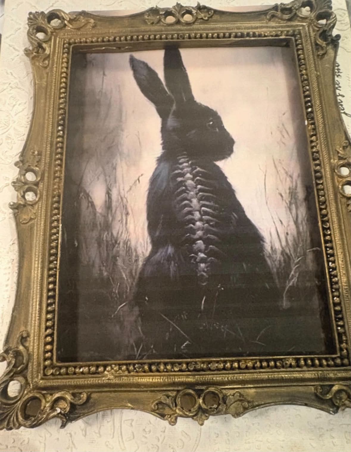 Cadre Gothique - Le Lapin Squelette PL004